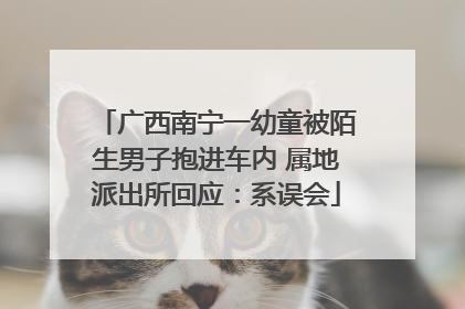 广西南宁一幼童被陌生男子抱进车内 属地派出所回应：系误会