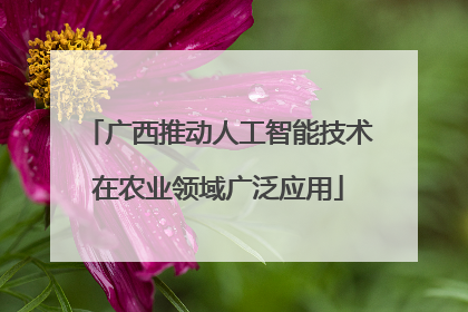 广西推动人工智能技术在农业领域广泛应用