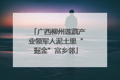 广西柳州莲藕产业领军人泥土里“掘金”富乡邻