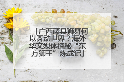 广西藤县狮舞何以舞动世界？海外华文媒体探秘“东方狮王”炼成记