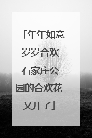年年如意 岁岁合欢 石家庄公园的合欢花又开了