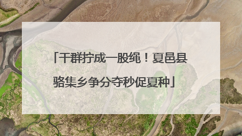 干群拧成一股绳！夏邑县骆集乡争分夺秒促夏种