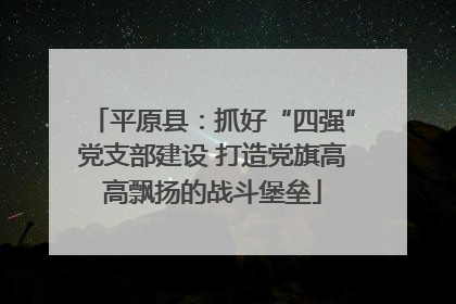 平原县：抓好“四强”党支部建设 打造党旗高高飘扬的战斗堡垒
