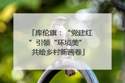 库伦旗：“党建红”引领“环境美” 共绘乡村新画卷