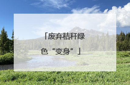 废弃秸秆绿色“变身”