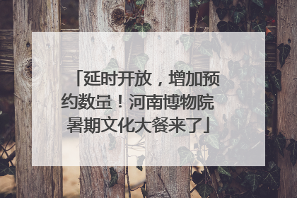 延时开放，增加预约数量！河南博物院暑期文化大餐来了