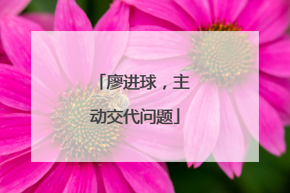 廖进球，主动交代问题