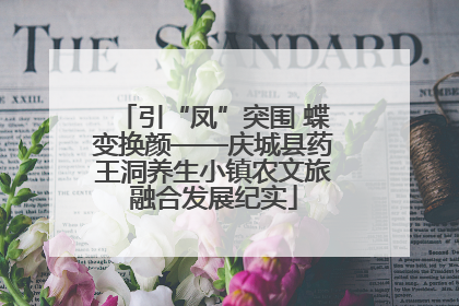 引“凤”突围 蝶变换颜——庆城县药王洞养生小镇农文旅融合发展纪实