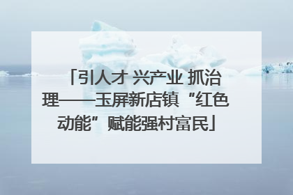 引人才 兴产业 抓治理——玉屏新店镇“红色动能”赋能强村富民