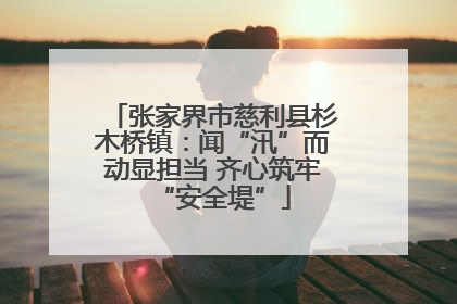 张家界市慈利县杉木桥镇：闻“汛”而动显担当 齐心筑牢“安全堤”