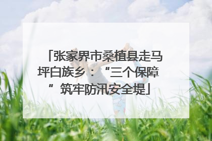 张家界市桑植县走马坪白族乡：“三个保障”筑牢防汛安全堤