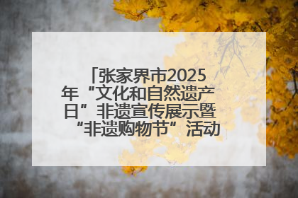 张家界市2025年“文化和自然遗产日”非遗宣传展示暨“非遗购物节”活动在慈利县盛大启幕