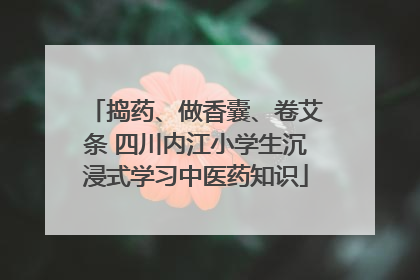 捣药、做香囊、卷艾条 四川内江小学生沉浸式学习中医药知识