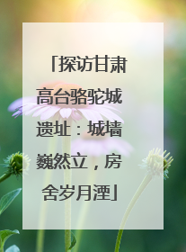 探访甘肃高台骆驼城遗址：城墙巍然立，房舍岁月湮