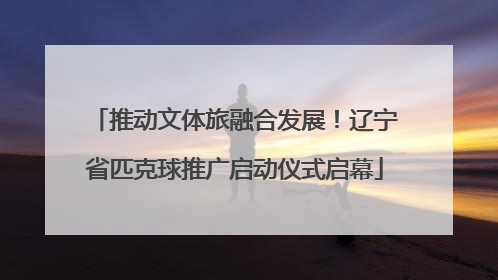 推动文体旅融合发展！辽宁省匹克球推广启动仪式启幕