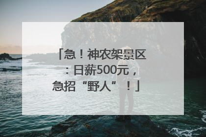 急！神农架景区：日薪500元，急招“野人”！