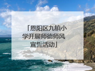 恩阳区九镇小学开展师德师风宣誓活动