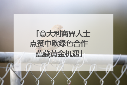 意大利商界人士点赞中欧绿色合作蕴藏黄金机遇