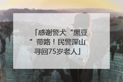 感谢警犬“黑豆”带路！民警深山寻回75岁老人