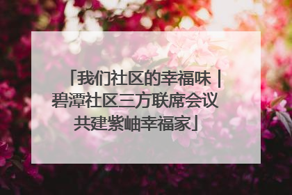 我们社区的幸福味｜碧潭社区三方联席会议共建紫岫幸福家