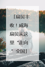扇贝丰收！威海扇贝从这里“走向”全国
