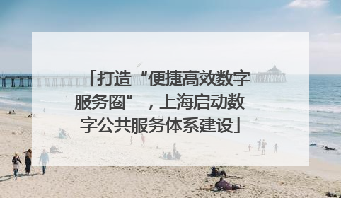打造“便捷高效数字服务圈”，上海启动数字公共服务体系建设