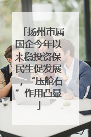 扬州市属国企今年以来稳投资保民生促发展，“压舱石”作用凸显
