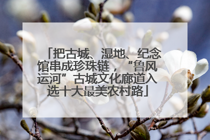 把古城、湿地、纪念馆串成珍珠链，“鲁风运河”古城文化廊道入选十大最美农村路