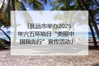 抚远市举办2025年六五环境日“美丽中国我先行”宣传活动