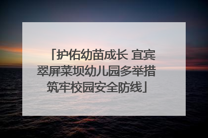 护佑幼苗成长 宜宾翠屏菜坝幼儿园多举措筑牢校园安全防线
