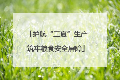 护航“三夏”生产 筑牢粮食安全屏障