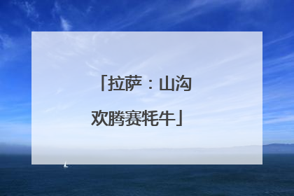 拉萨：山沟欢腾赛牦牛