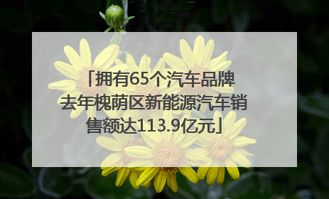 拥有65个汽车品牌 去年槐荫区新能源汽车销售额达113.9亿元