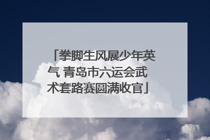拳脚生风展少年英气 青岛市六运会武术套路赛圆满收官
