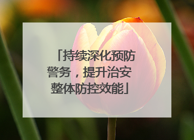 持续深化预防警务，提升治安整体防控效能