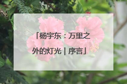 杨宇东：万里之外的灯光｜序言