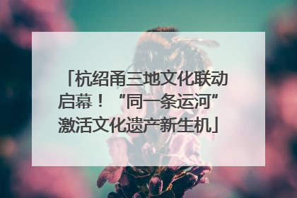 杭绍甬三地文化联动启幕！“同一条运河”激活文化遗产新生机