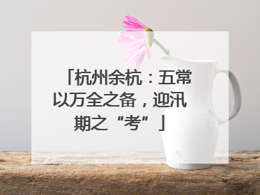 杭州余杭：五常以万全之备，迎汛期之“考”
