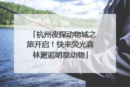杭州夜探动物城之旅开启！快来荧光森林邂逅明星动物