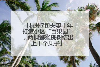 杭州7旬夫妻十年打造小区“百果园”，两棵猕猴桃树结出上千个果子