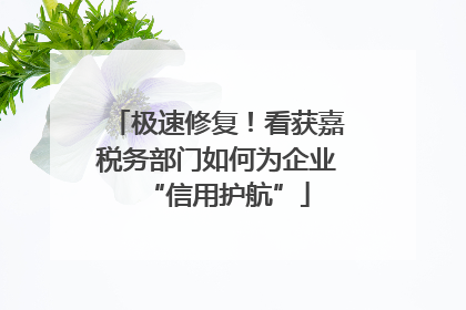 极速修复！看获嘉税务部门如何为企业“信用护航”