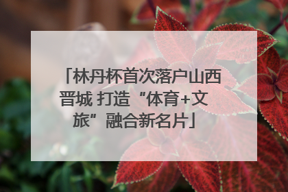 林丹杯首次落户山西晋城 打造“体育+文旅”融合新名片