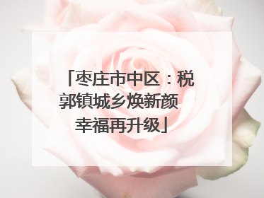 枣庄市中区：税郭镇城乡焕新颜 幸福再升级