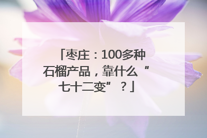 枣庄：100多种石榴产品，靠什么“七十二变”？