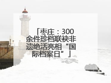 枣庄：300余件珍档联袂非遗绝活亮相“国际档案日”