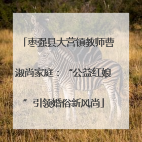 枣强县大营镇教师曹淑尚家庭：“公益红娘”引领婚俗新风尚