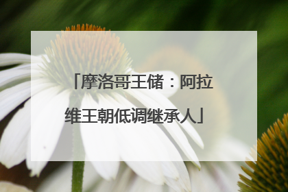 摩洛哥王储：阿拉维王朝低调继承人