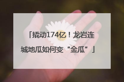 撬动174亿！龙岩连城地瓜如何变“金瓜”