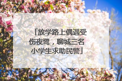 放学路上偶遇受伤夜鹭，聊城三名小学生求助民警