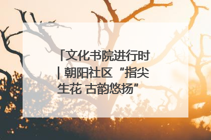 文化书院进行时｜朝阳社区“指尖生花 古韵悠扬”公益课堂开课了